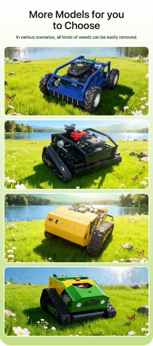 Control Lawn Mower